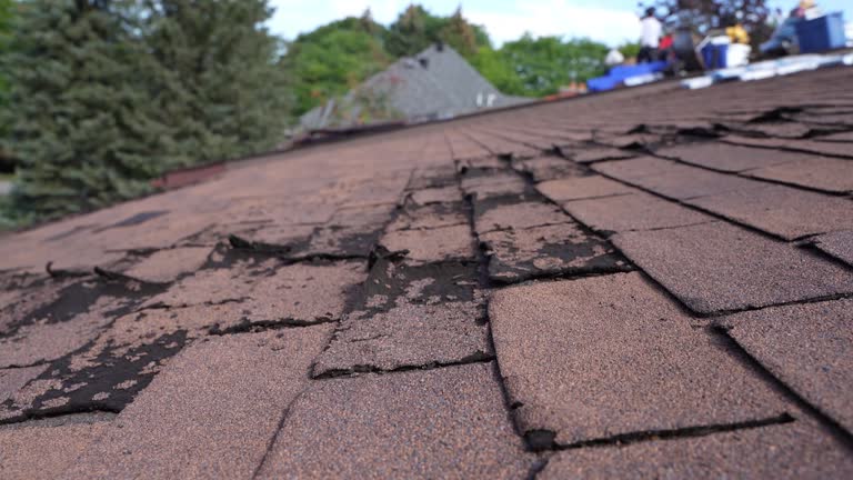Best Sheet Metal Roofing  in Graham, TX
